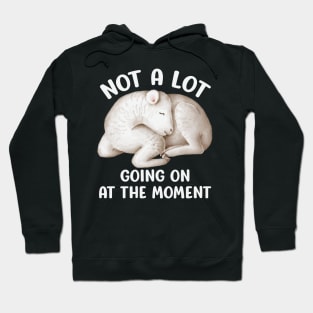 Not A Lot Going On At The Moment - Sleeping Lamb Hoodie